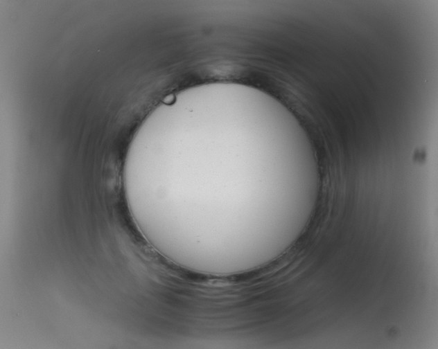 X0000115620651200911101057