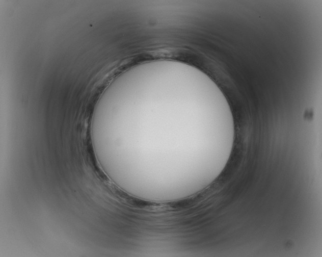 X0000115620652200911101057