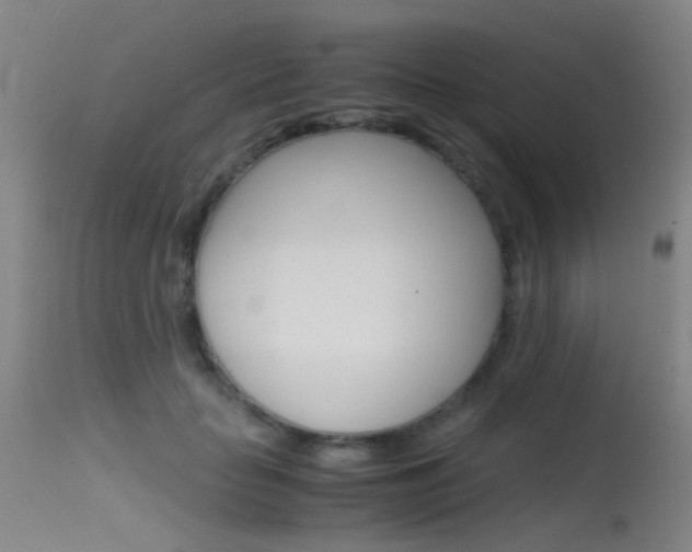 X0000115620653200911101057