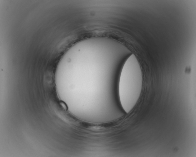 X0000115620654200911101057