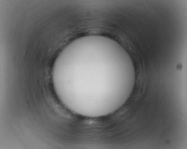 X0000115620655200911101057