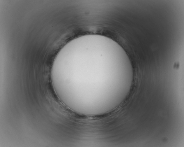 X0000115620656200911101057