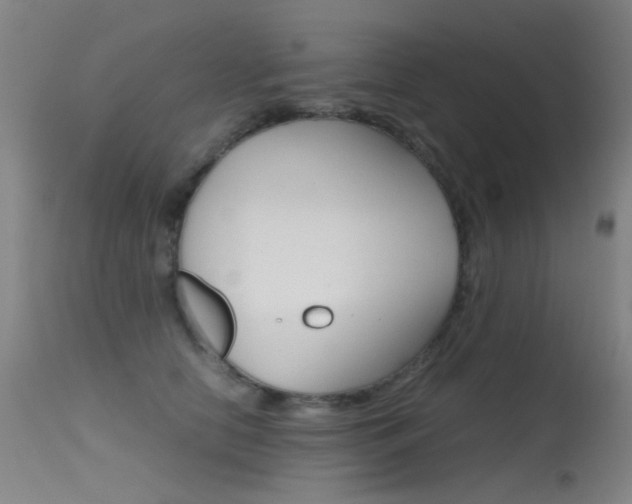 X0000115620658200911101057