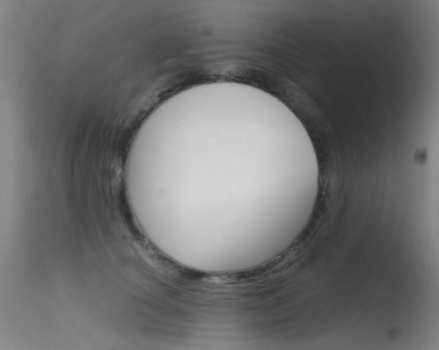 X0000115620660200911101057