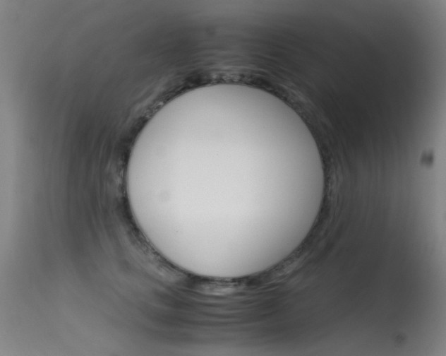 X0000115620661200911101057