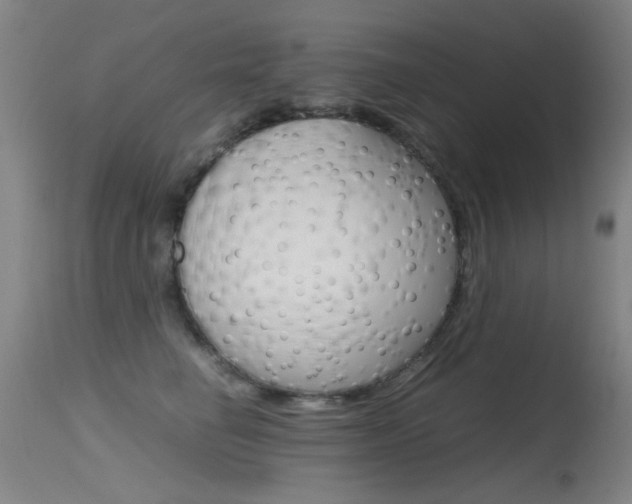 X0000115620662200911101057