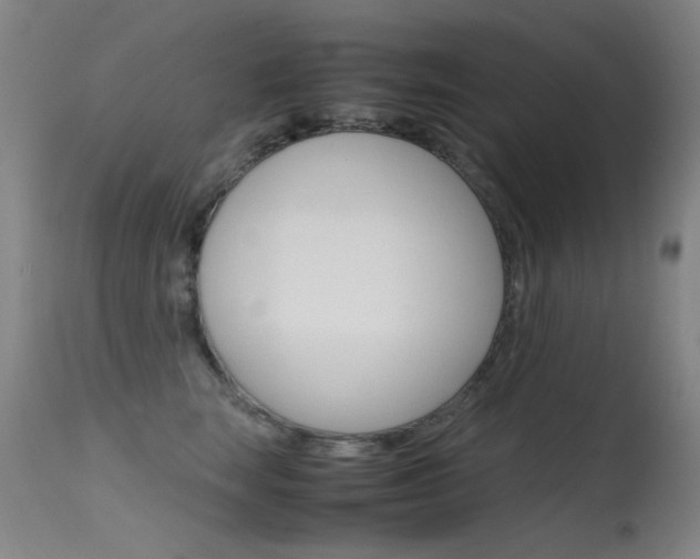 X0000115620663200911101057