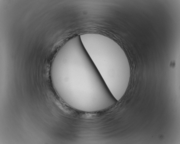 X0000115620664200911101057