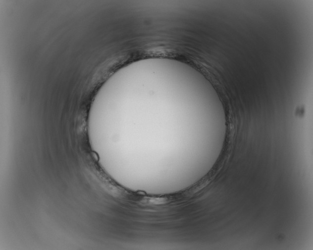 X0000115620665200911101057