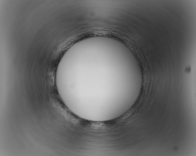 X0000115620666200911101057