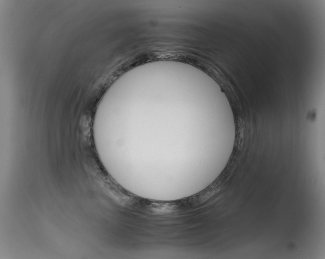 X0000115620667200911101057