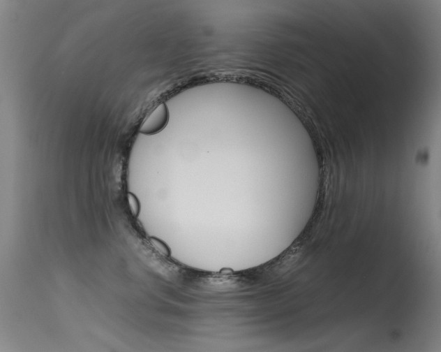 X0000115620668200911101057