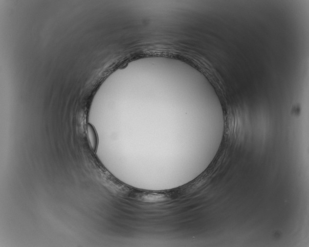 X0000115620669200911101057
