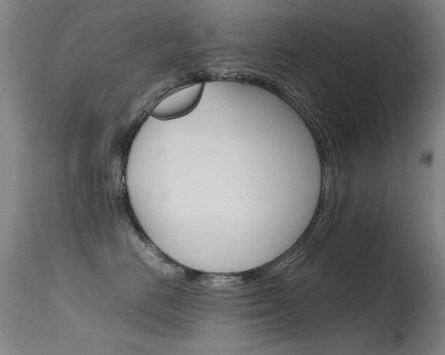 X0000115620670200911101057