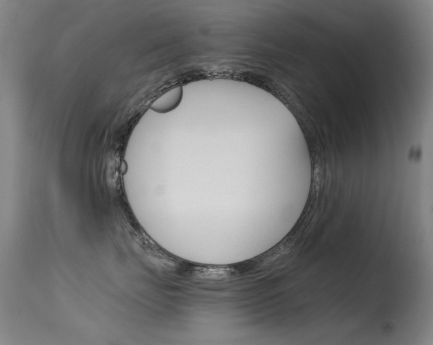 X0000115620671200911101057
