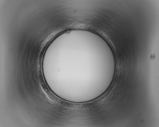 X0000115620674200911101057