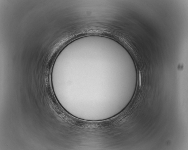 X0000115620675200911101057