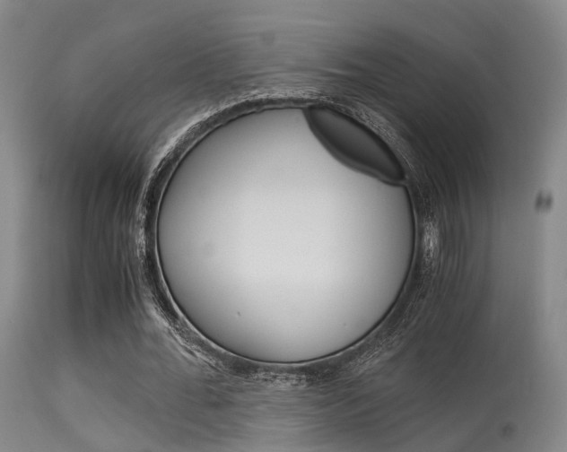 X0000115620676200911101057