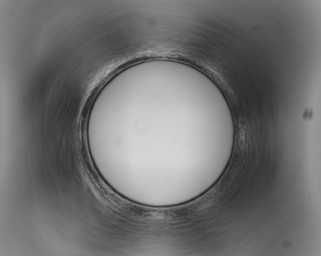 X0000115620678200911101057
