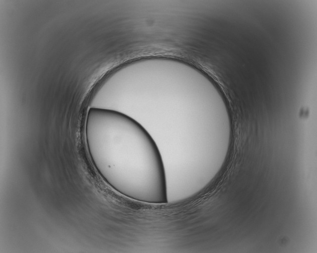 X0000115620679200911101057