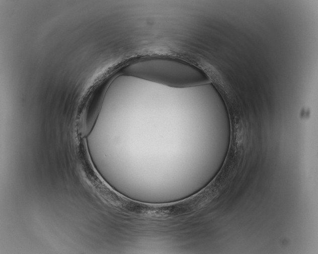 X0000115620680200911101057