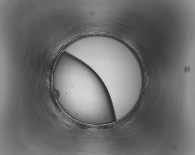 X0000115620681200911101057