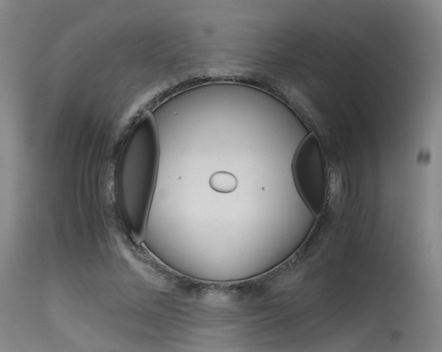 X0000115620684200911101057