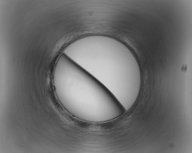 X0000115620685200911101057