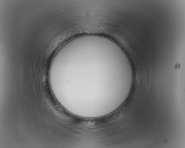 X0000115620687200911101056