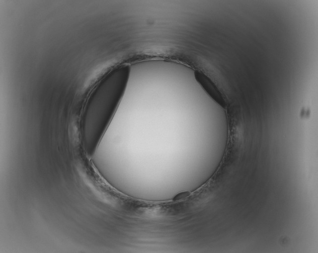 X0000115620688200911101056