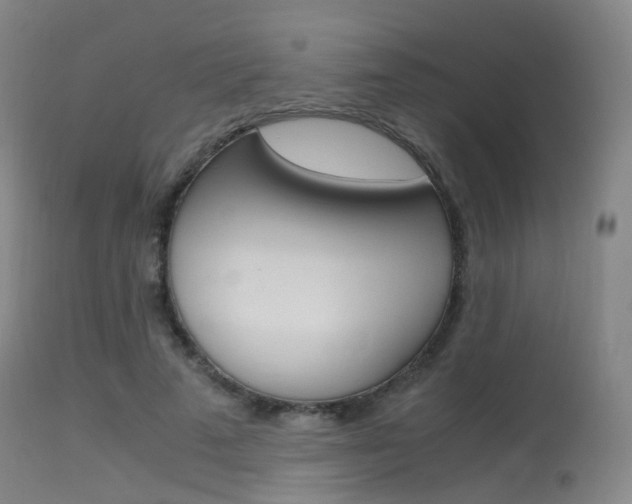 X0000115620689200911101056