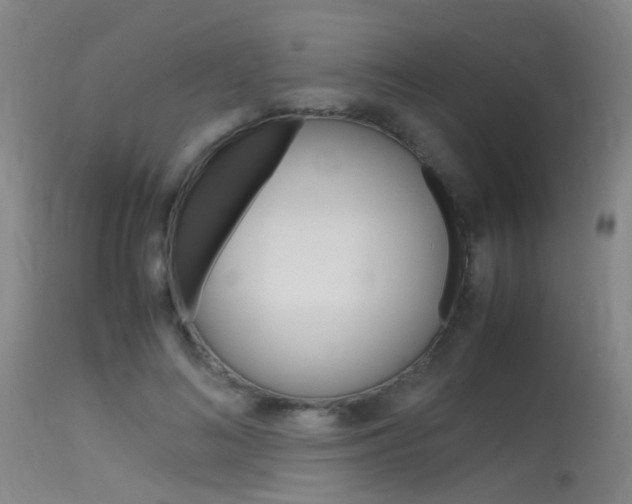 X0000115620692200911101056