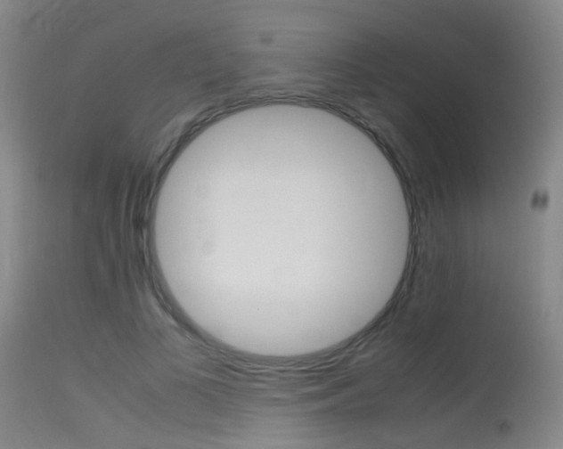 X0000115620693200911101056