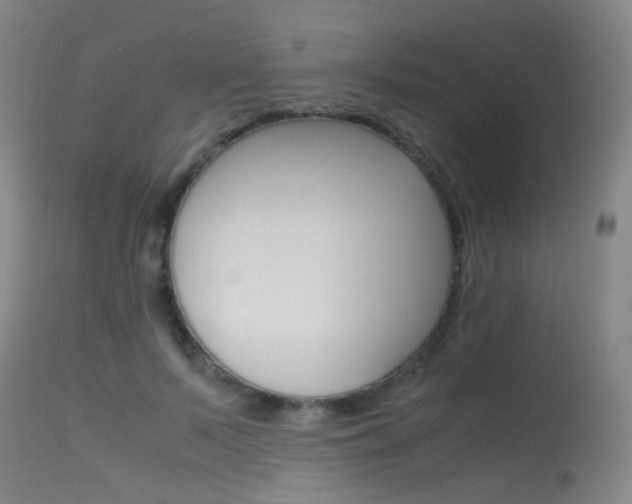 X0000115620695200911101056