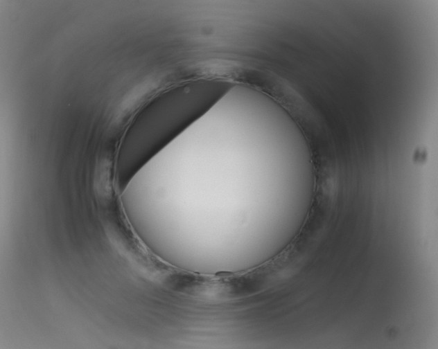 X0000115620696200911101056