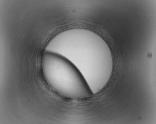 X0000115620697200911101056