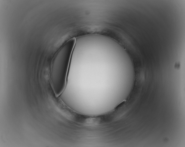 X0000115620700200911101056