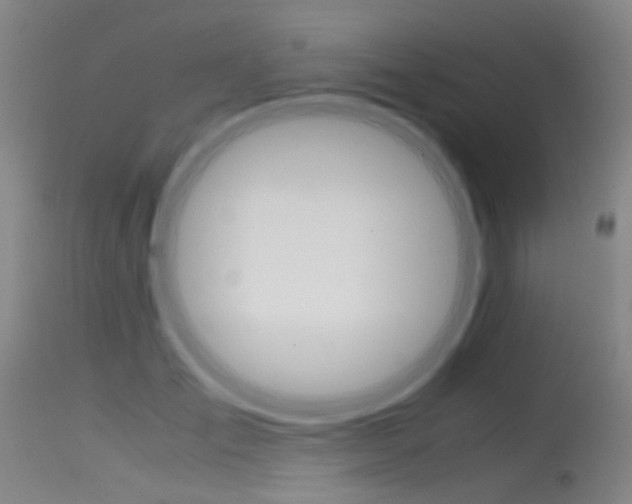 X0000115620701200911101056