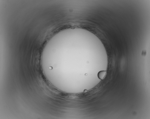 X0000115620702200911101056
