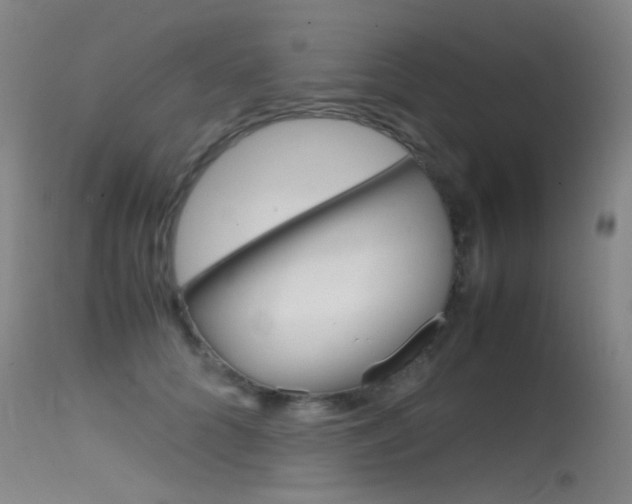 X0000115620704200911101056