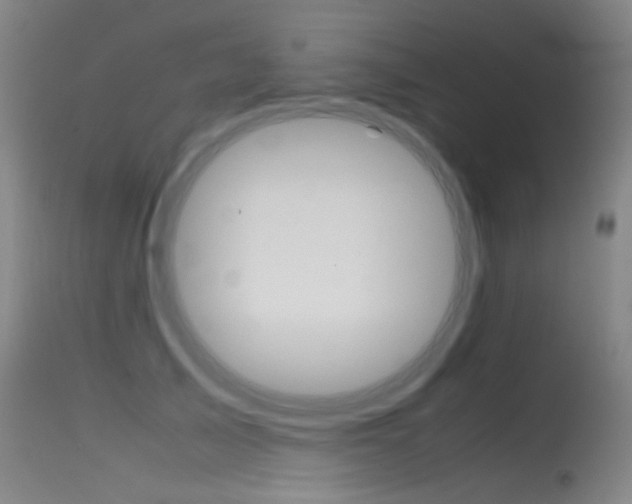 X0000115620705200911101056