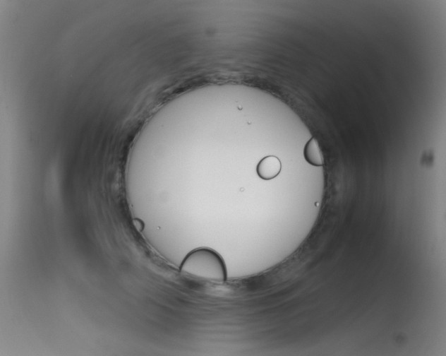 X0000115620706200911101056