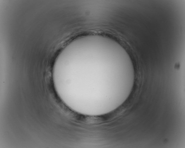 X0000115620707200911101056