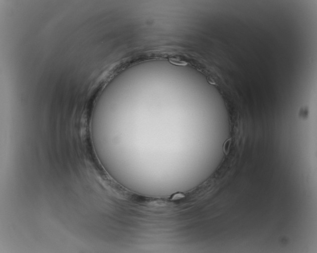 X0000115620708200911101056