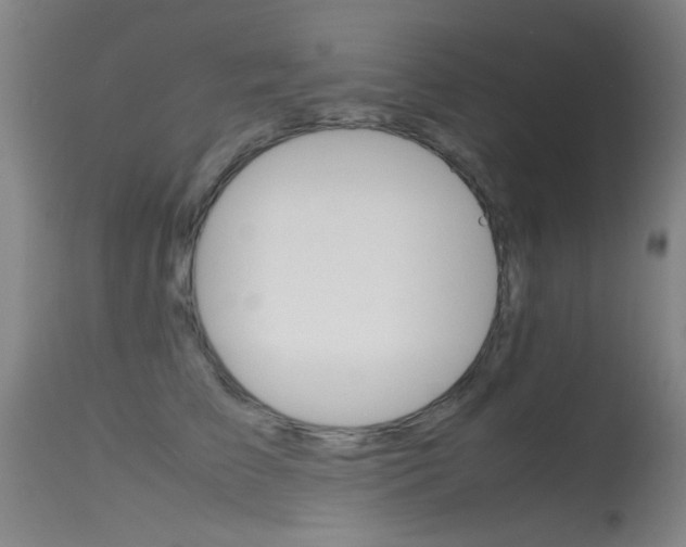 X0000115620709200911101056