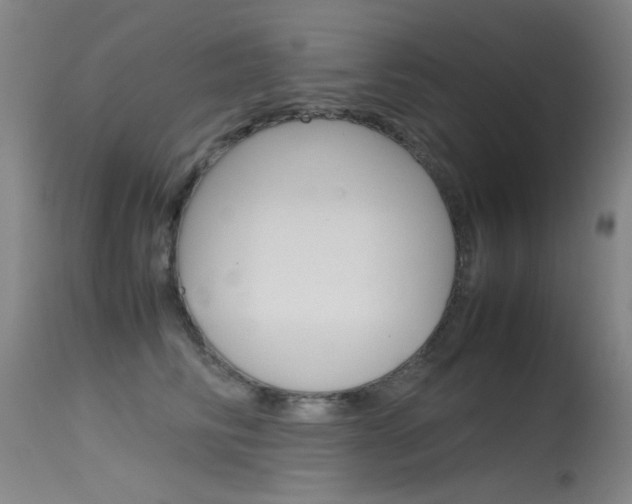 X0000115620710200911101056
