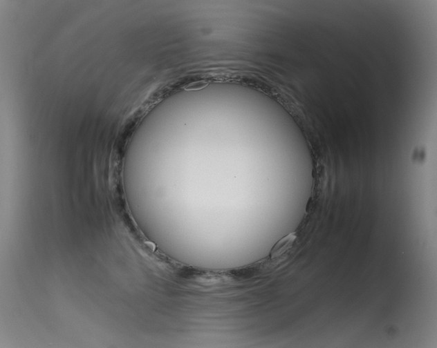 X0000115620712200911101056