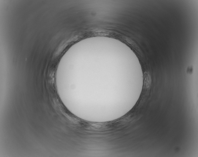 X0000115620713200911101056