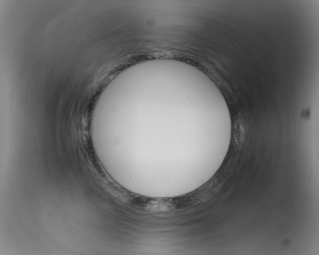 X0000115620714200911101056