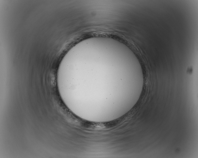 X0000115620715200911101056
